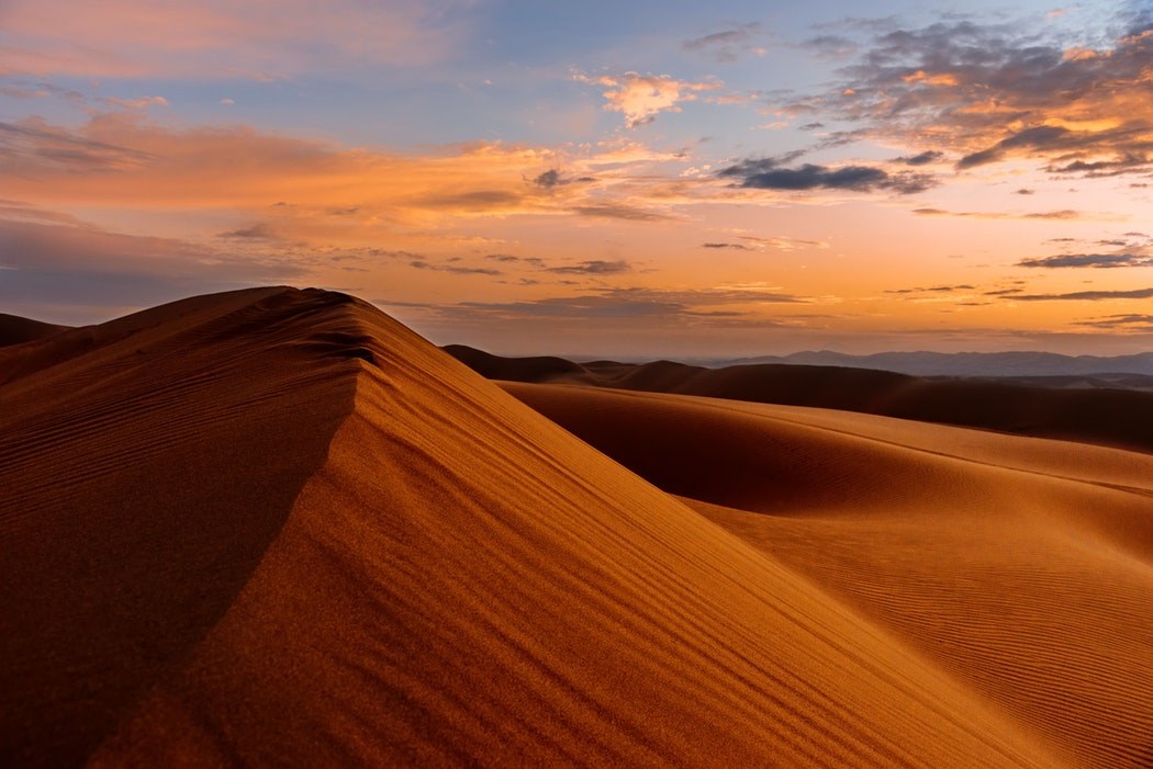 Featured Photo